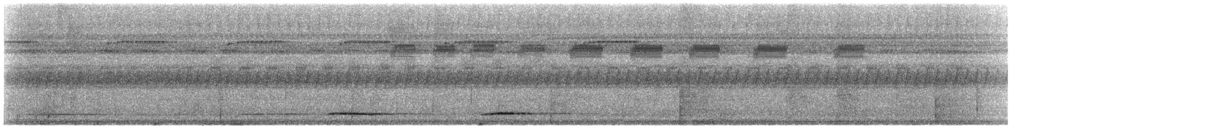White-throated Tinamou - ML613349777