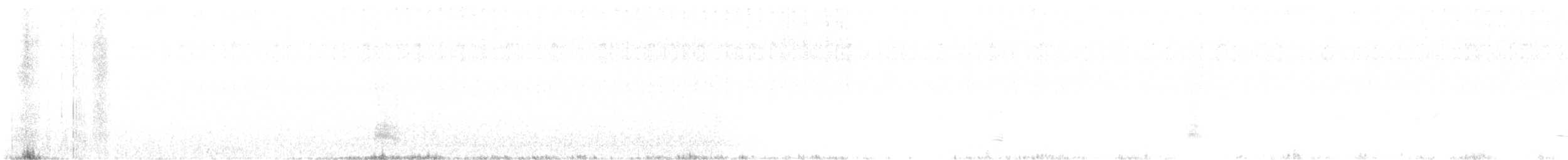 ボナパルトカモメ - ML613352386