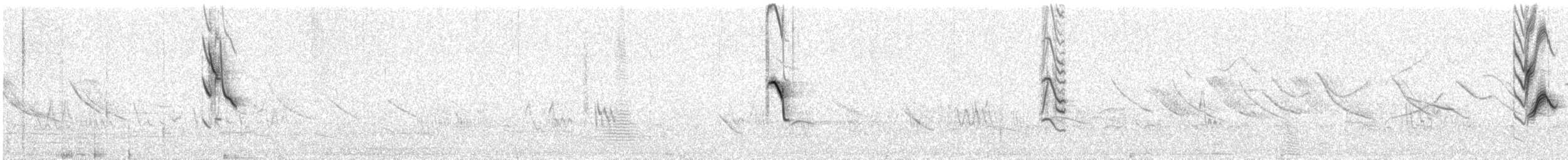 Tawny-bellied Seedeater - ML613352803