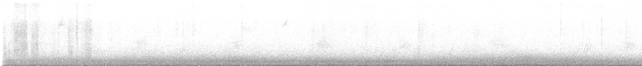 Moqueur à bec courbe - ML613355270
