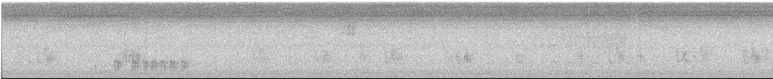 Todirostre gorgeret - ML613355325