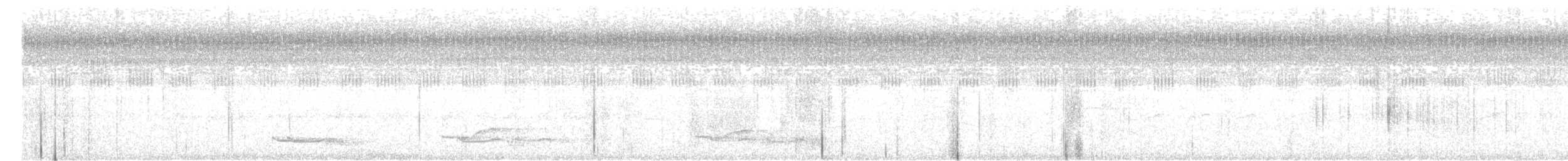 Lance-tailed Manakin - ML613358418