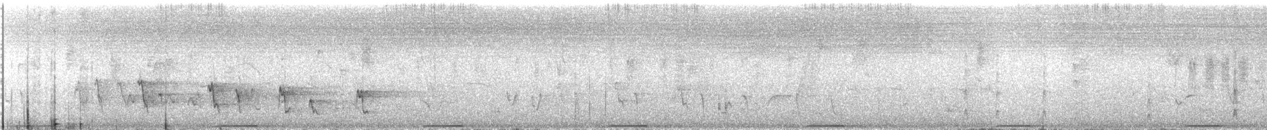 holub pestrokřídlý - ML613360233