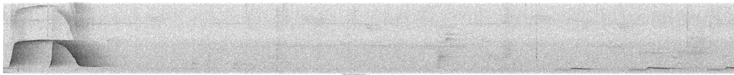 Islıkçı Kotinga - ML613360529