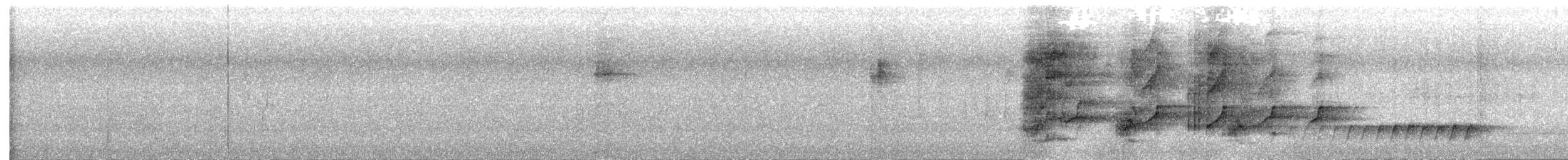 Нявкун строкатоволий - ML613360733