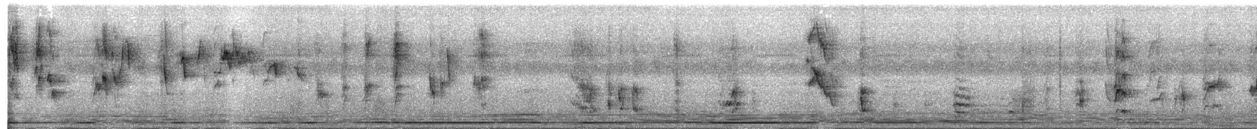 brunvarsler (lucionensis) - ML613360878