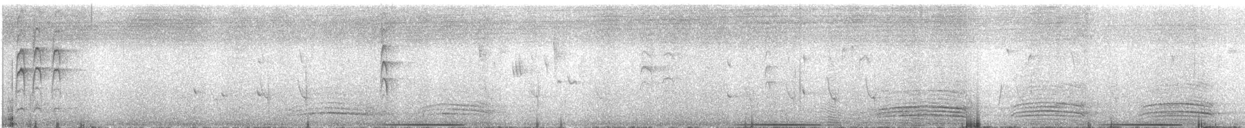 holub bronzovokřídlý - ML613361531