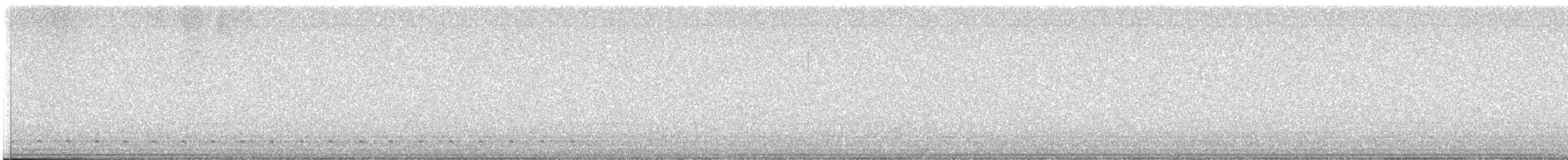 Сичик-горобець перуанський - ML613363439