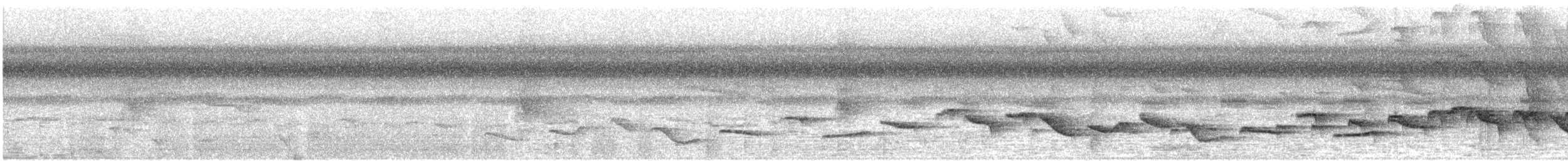 Чернобровый шелкопёр - ML613365552
