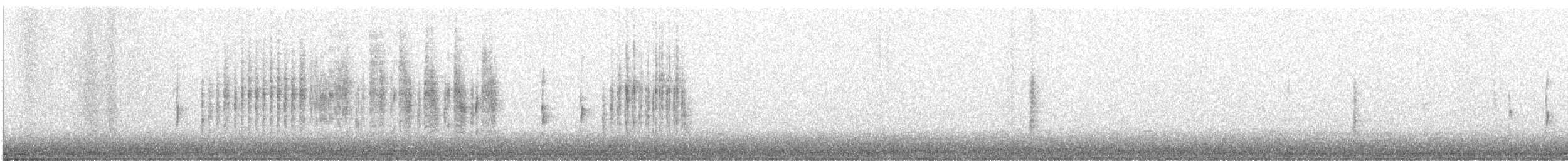Troglodyte des marais - ML613367274