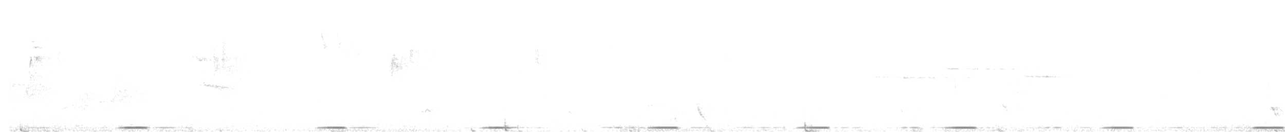 holub pestrokřídlý - ML613373094