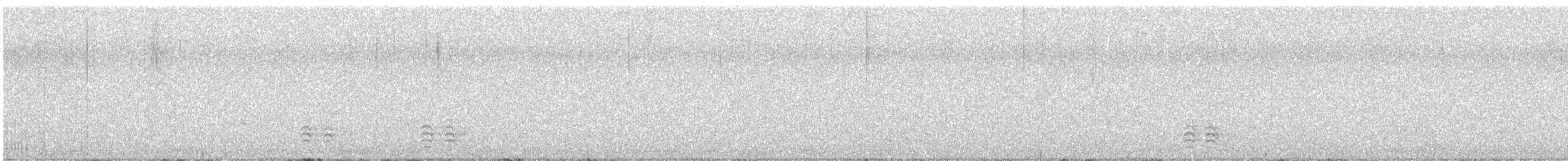 Sittelle à poitrine blanche (carolinensis) - ML613376278