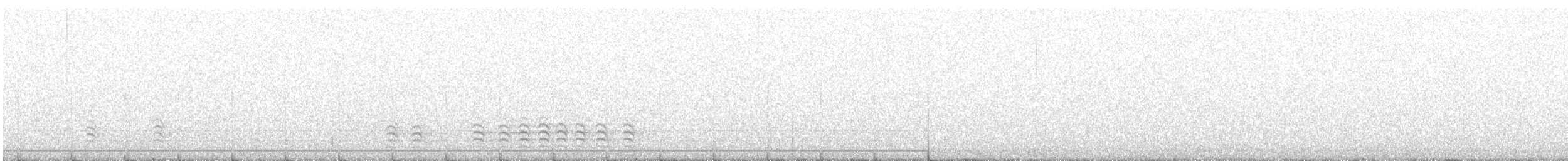 Sittelle à poitrine blanche (carolinensis) - ML613376279