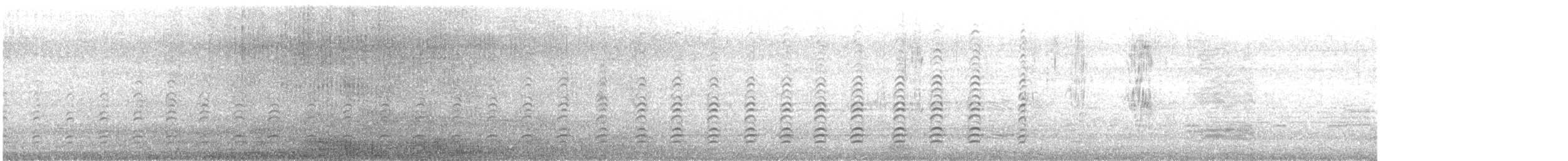 hvitbukhavørn - ML613377032