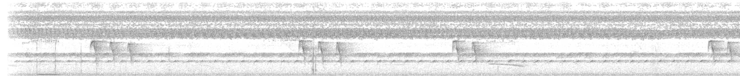 Dot-winged Antwren - ML613377054