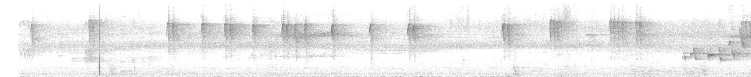 Weißschwanzkleiber - ML613377357