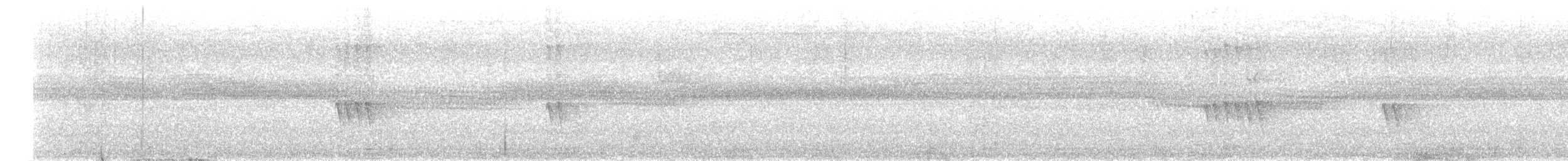 stripeedderkoppjeger - ML613377403