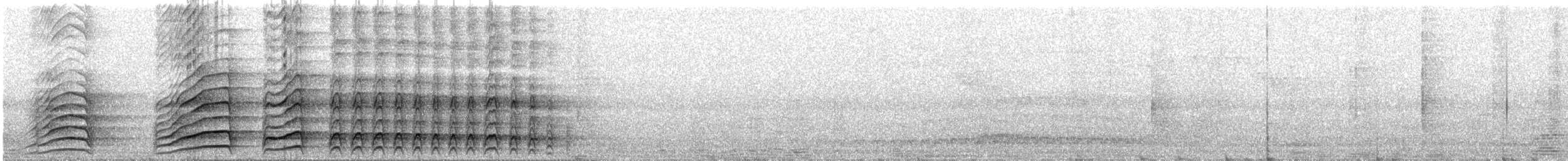 Malabar Gray Hornbill - ML613379001