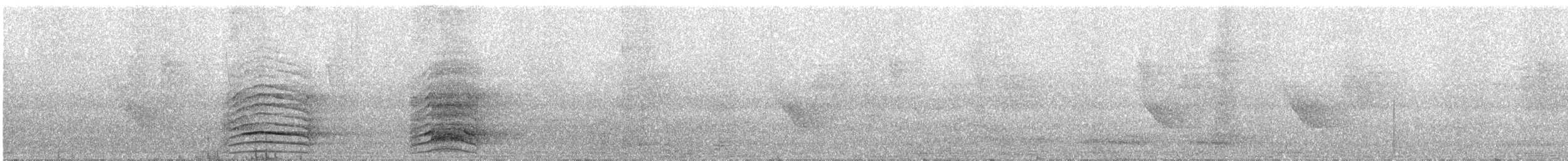 Malabar Gray Hornbill - ML613379003