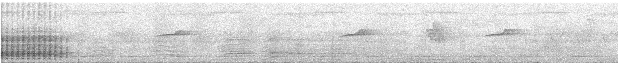 Malabar Gray Hornbill - ML613379007
