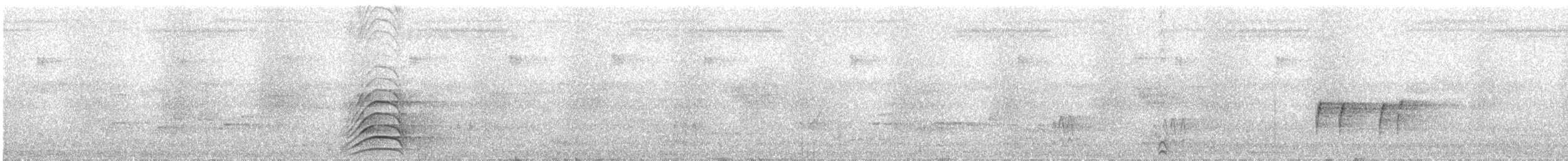 Malabar Gray Hornbill - ML613379009