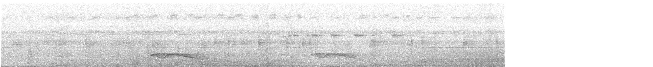 Great Eared-Nightjar - ML613379761