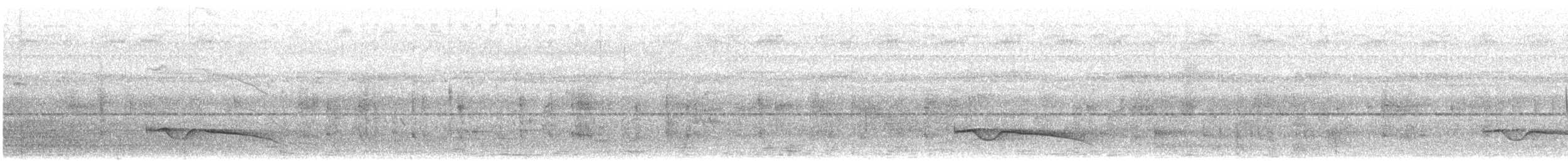 Great Eared-Nightjar - ML613379763