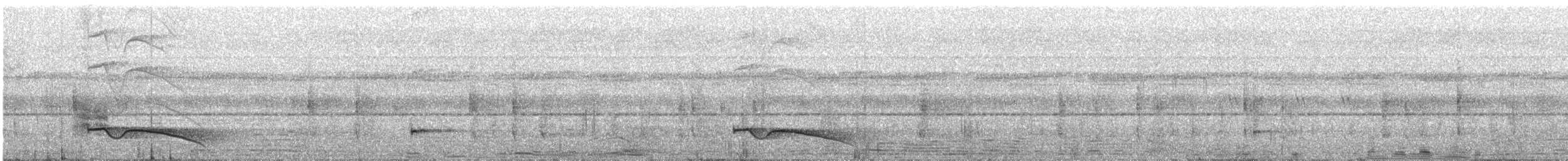 Riesennachtschwalbe - ML613379765