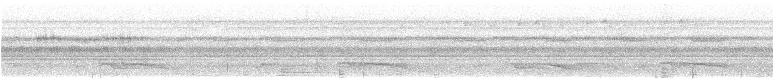 Riesennachtschwalbe - ML613379766