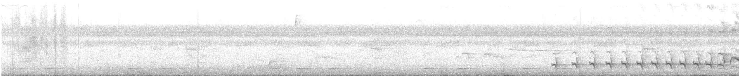 Black-crested Antshrike - ML613379978