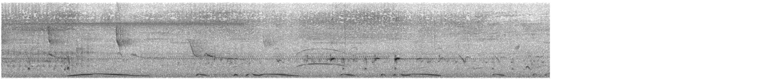 holub středoamerický - ML613380519