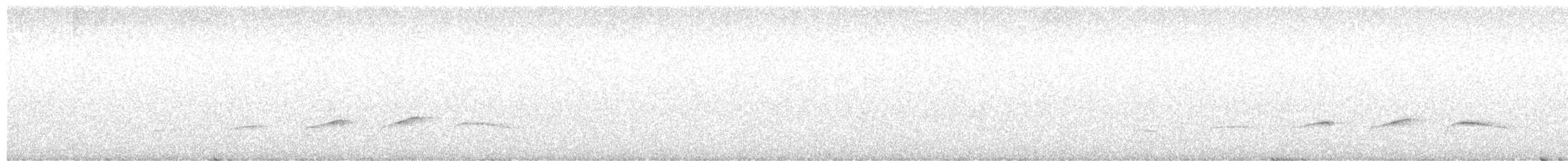 Атіла сіроголовий - ML613383525