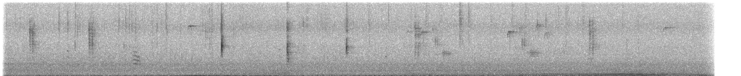 Taçlı Ötleğen (coronata x auduboni) - ML613387386