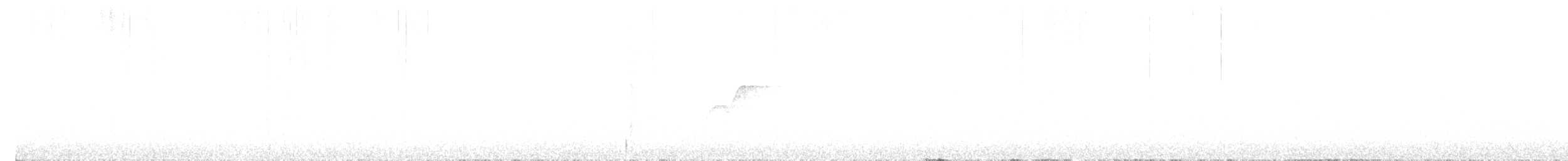 Batı Amerika Sinekkapanı (occidentalis/hellmayri) - ML613389564