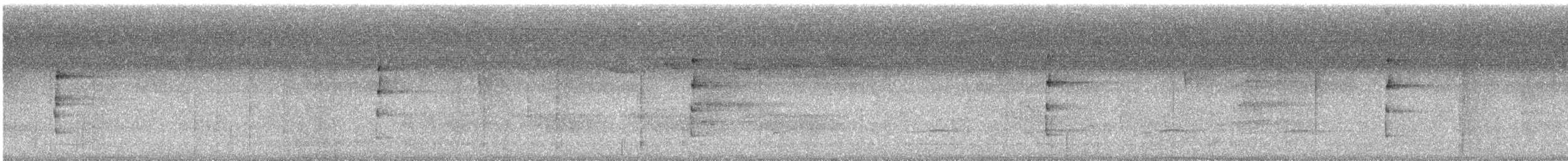 Ak Karınlı Todi Tiranı - ML613393502