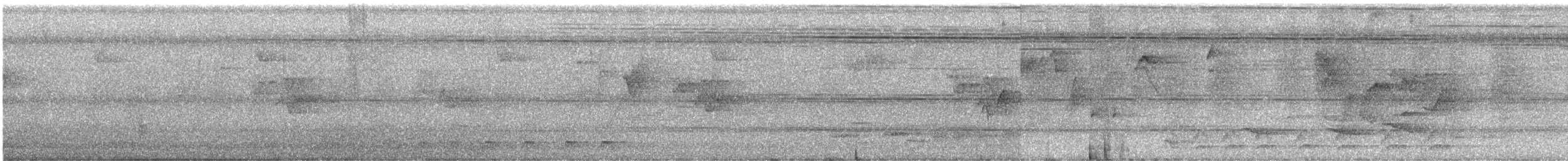 Trogón Violáceo Norteño - ML61339391