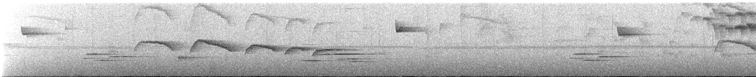 Светлогорлый тенелюб - ML613396126