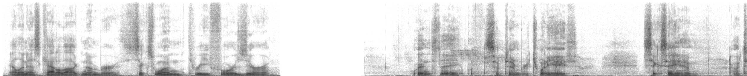 ノドジロオニキバシリ - ML61340