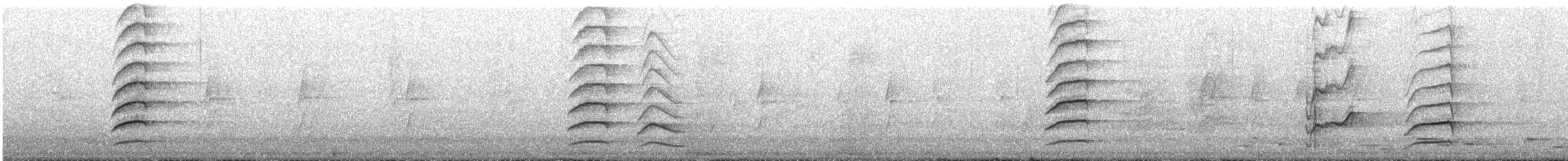 彩虹吸蜜鸚鵡 - ML613410529