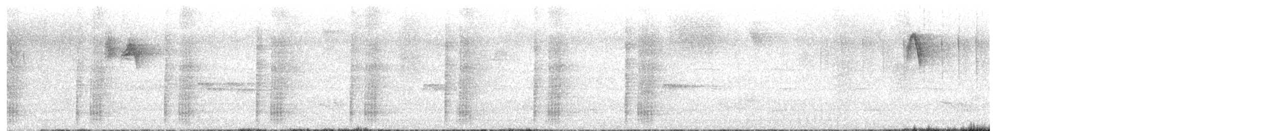 Аракарі плямистоволий - ML613412022