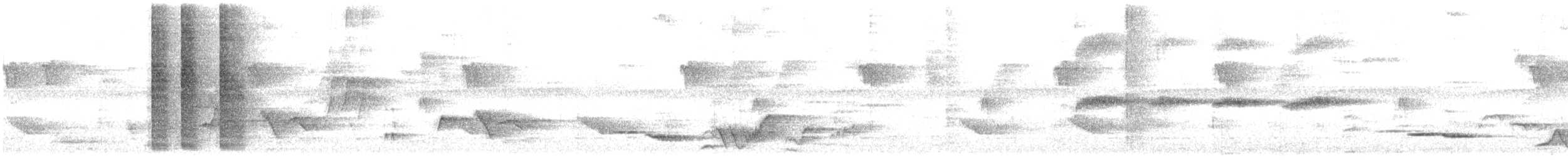 Beyaz Belli Şama [malabaricus grubu] - ML613412862