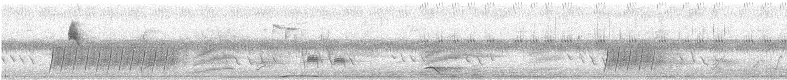 Ictérie polyglotte - ML613413179