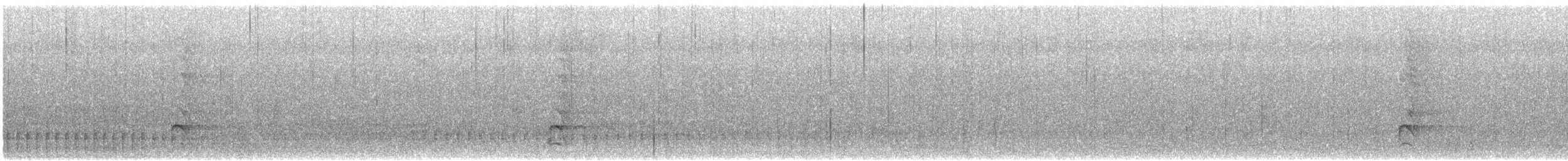 Ak Karınlı Kara Ağaçkakan - ML613415181