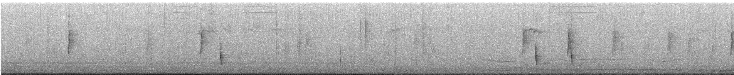 Дрізд-короткодзьоб плямистоволий - ML613417839