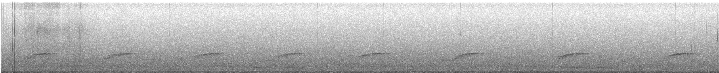 Little Spotted Kiwi - ML613422781