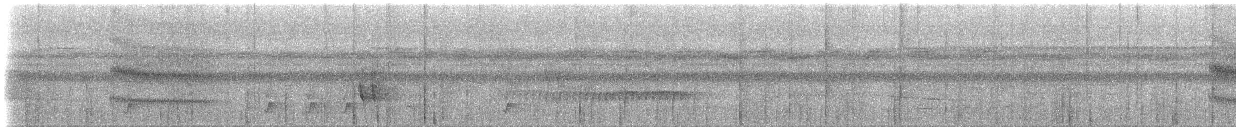 Çift Şeritli Taçlı Tiran - ML613424824