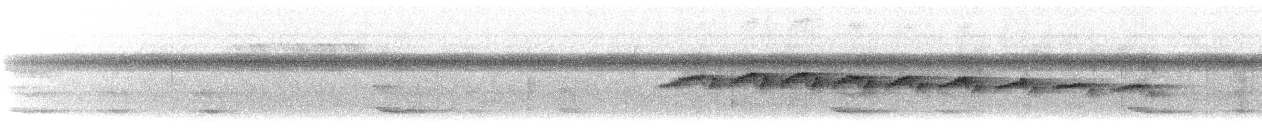 Мурав’янка-куцохвіст плямиста - ML613430260