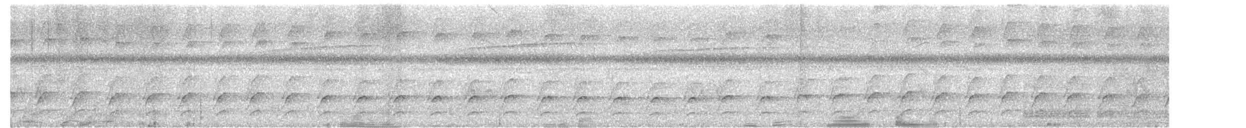 Einfarb-Baumsteiger (taunayi) - ML613431826