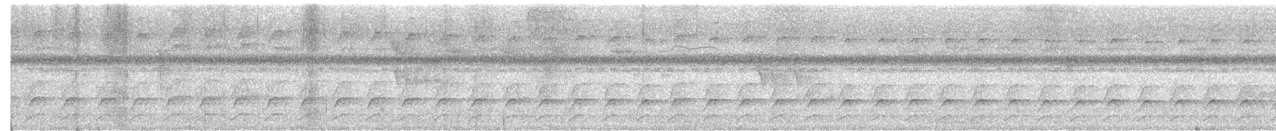 Einfarb-Baumsteiger (taunayi) - ML613431877