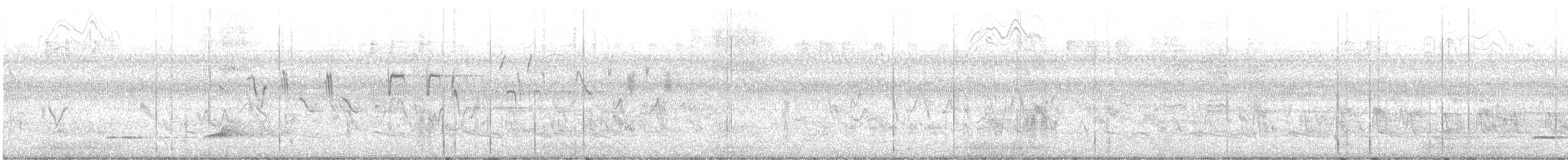 שליו אמריקני - ML613432475